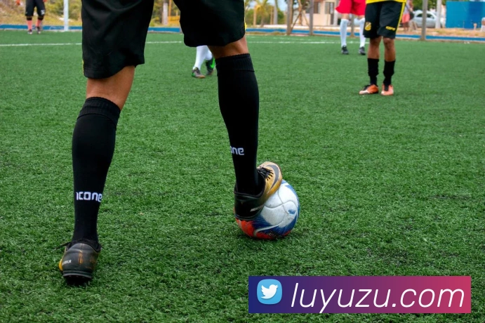 世界杯体育app官网平台生态图